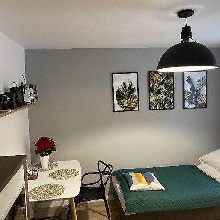 Apartamenty Blogi Sen Ii- Komfortowy Nocleg W Spokojnej Lokalizacji Zabrze Buitenkant foto